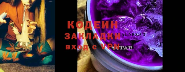 шишки Нязепетровск