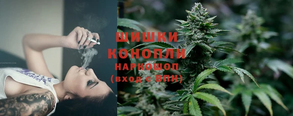 ПСИЛОЦИБИНОВЫЕ ГРИБЫ Няндома