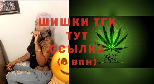 шишки Нязепетровск