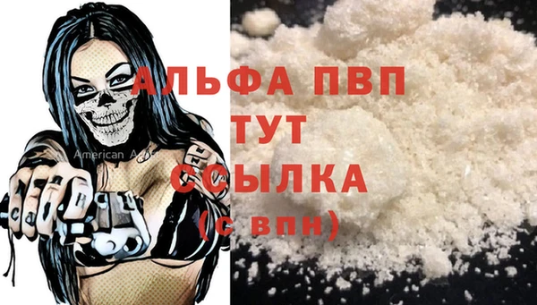 ПСИЛОЦИБИНОВЫЕ ГРИБЫ Няндома