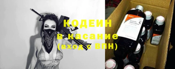 шишки Нязепетровск