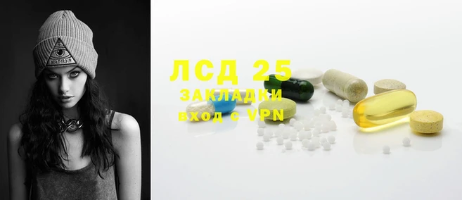 ПСИЛОЦИБИНОВЫЕ ГРИБЫ Няндома