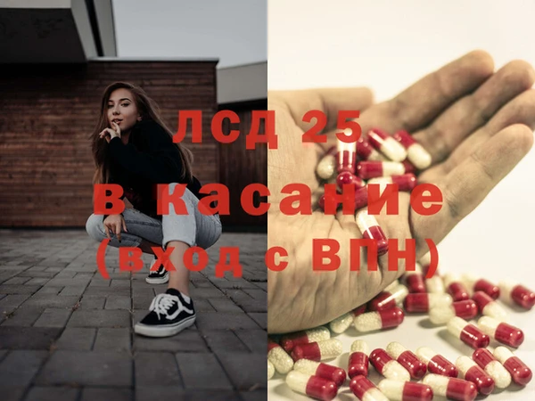 ПСИЛОЦИБИНОВЫЕ ГРИБЫ Няндома