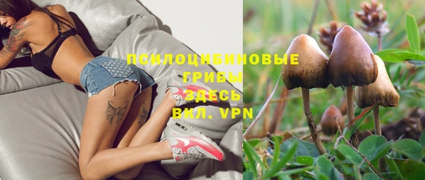 шишки Нязепетровск