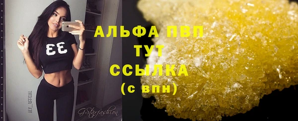 шишки Нязепетровск