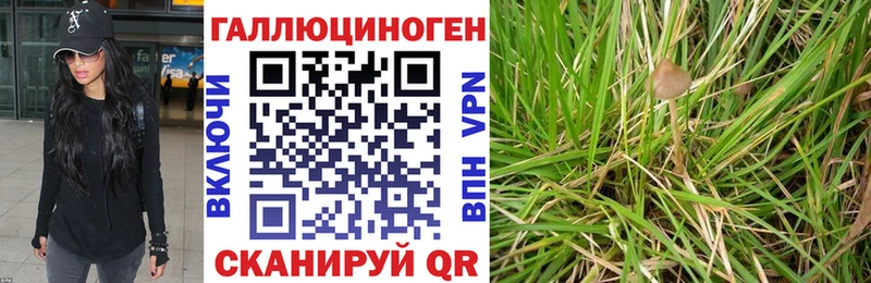 цены наркотик  Абдулино  Псилоцибиновые грибы прущие грибы 